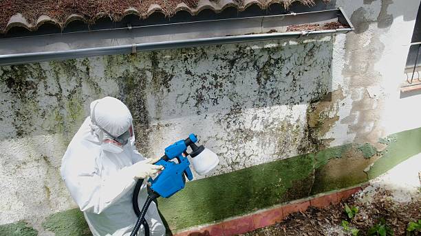 Top rated local Mold Inspection specialists in Riverdale, GA